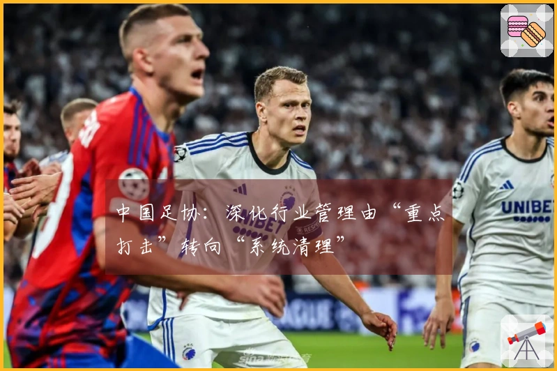 中国足协：深化行业管理由“重点打击”转向“系统清理”